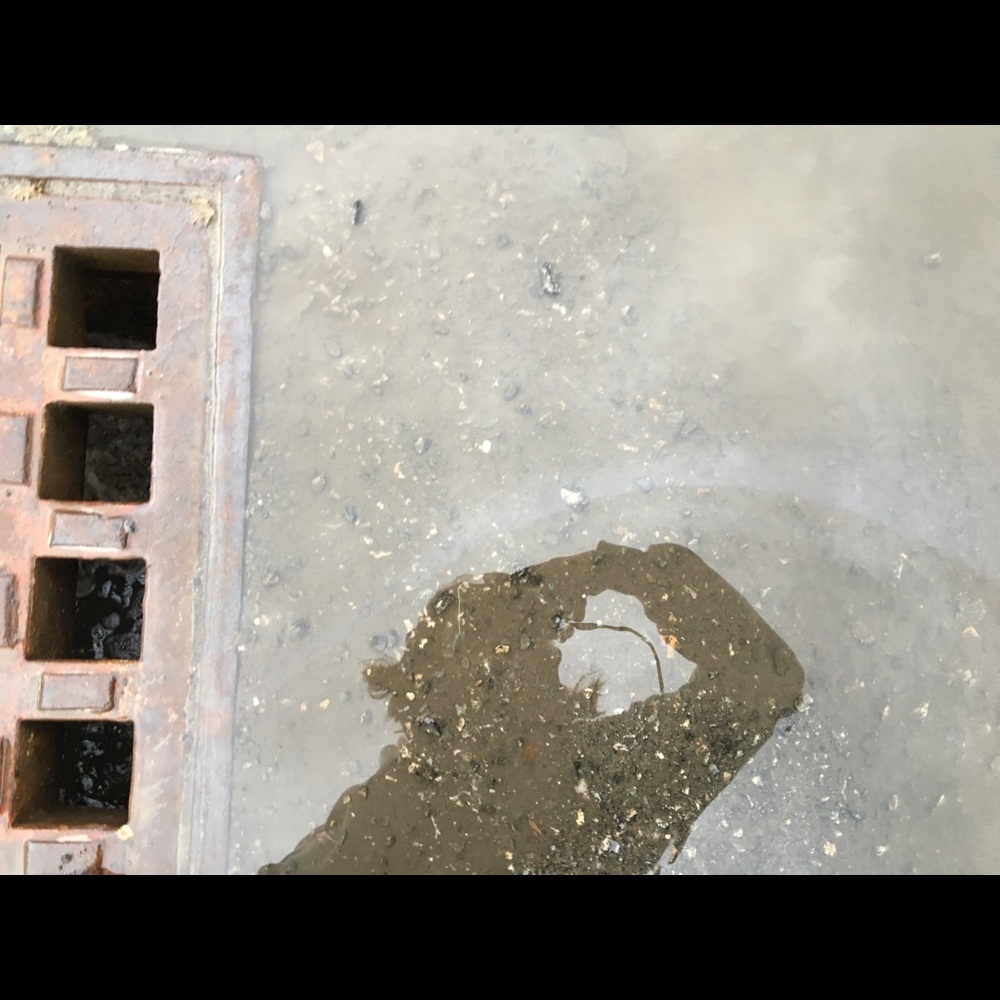 Meet your Posher, Blue